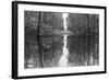 Suwanne Reflection Pano - BW-Moises Levy-Framed Photographic Print