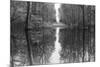 Suwanne Reflection Pano - BW-Moises Levy-Mounted Photographic Print