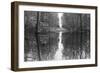 Suwanne Reflection Pano - BW-Moises Levy-Framed Photographic Print