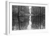 Suwanne Reflection Pano - BW-Moises Levy-Framed Photographic Print