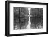 Suwanne Reflection Pano - BW-Moises Levy-Framed Photographic Print