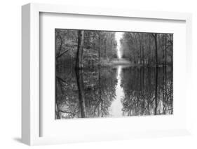 Suwanne Reflection Pano - BW-Moises Levy-Framed Photographic Print