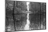 Suwanne Reflection Pano - BW-Moises Levy-Mounted Photographic Print