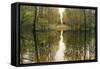 Suwanne Reflection Panoramic-Moises Levy-Framed Stretched Canvas
