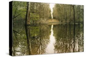 Suwanne Reflection Panoramic-Moises Levy-Stretched Canvas