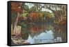 Suwannee River, Florida-null-Framed Stretched Canvas