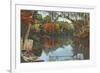 Suwannee River, Florida-null-Framed Premium Giclee Print