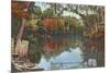 Suwannee River, Florida-null-Mounted Premium Giclee Print