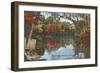 Suwannee River, Florida-null-Framed Art Print