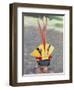 Suya Indian, Brazil, South America-Robin Hanbury-tenison-Framed Premium Photographic Print