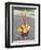 Suya Indian, Brazil, South America-Robin Hanbury-tenison-Framed Premium Photographic Print