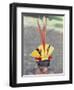 Suya Indian, Brazil, South America-Robin Hanbury-tenison-Framed Premium Photographic Print