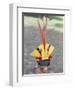 Suya Indian, Brazil, South America-Robin Hanbury-tenison-Framed Premium Photographic Print