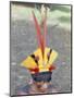 Suya Indian, Brazil, South America-Robin Hanbury-tenison-Mounted Photographic Print