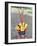 Suya Indian, Brazil, South America-Robin Hanbury-tenison-Framed Photographic Print