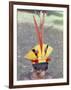 Suya Indian, Brazil, South America-Robin Hanbury-tenison-Framed Photographic Print