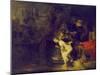 Suzanna and the Two Elders, 1647-Rembrandt van Rijn-Mounted Giclee Print