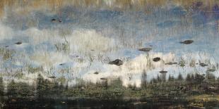 Soft Reflections-Suzanne Ernst-Framed Giclee Print