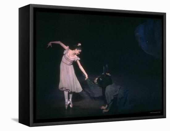 Suzanne Farrell in New York City Ballet Production of A Midsummer Night's Dream-Gjon Mili-Framed Stretched Canvas