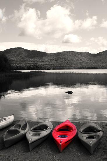 Premium Photographic Print, , large
