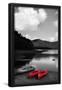 Essential Black