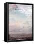 Framed Canvas