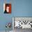 Suzanne Pleshette-null-Photo displayed on a wall