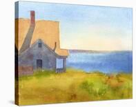 Yellow House, Summer Afternoon-Suzanne Siegel-Stretched Canvas