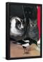 Essential Black