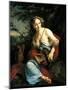 Wood Mount