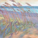 Dunes at Dusk II-Suzanne Wilkins-Mounted Art Print