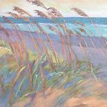 Dunes at Dusk II-Suzanne Wilkins-Stretched Canvas