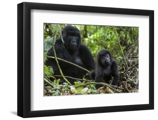 Premium Photographic Print, , large