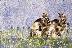 Cat Mint-Suzi Kennett-Giclee Print