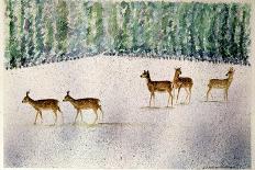 Deer in Snow-Suzi Kennett-Laminated Giclee Print