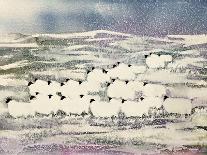 Deer in Snow-Suzi Kennett-Stretched Canvas