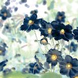 Pretty Black Flowers IV-Suzie Pibworth-Mounted Giclee Print