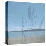 Secret Cove II-Suzie Pibworth-Framed Stretched Canvas
