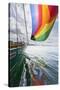 SV Nawalk with Spinnaker Flying, San Juan Islands, Washington, USA-Jaynes Gallery-Stretched Canvas