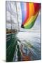 SV Nawalk with Spinnaker Flying, San Juan Islands, Washington, USA-Jaynes Gallery-Mounted Photographic Print