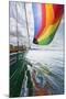 SV Nawalk with Spinnaker Flying, San Juan Islands, Washington, USA-Jaynes Gallery-Mounted Photographic Print