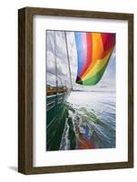 SV Nawalk with Spinnaker Flying, San Juan Islands, Washington, USA-Jaynes Gallery-Framed Photographic Print