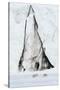 Svalbard reindeer, Rangifer tarandus, walk along a glacier front. Norway-Sergio Pitamitz-Stretched Canvas