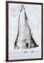 Svalbard reindeer, Rangifer tarandus, walk along a glacier front. Norway-Sergio Pitamitz-Framed Premium Photographic Print