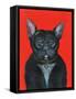 Svarc the Dog I, 2002-Tamas Galambos-Framed Stretched Canvas