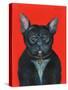 Svarc the Dog I, 2002-Tamas Galambos-Stretched Canvas