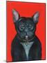 Svarc the Dog I, 2002-Tamas Galambos-Mounted Giclee Print
