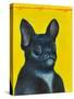 Svarc the Dog II, 2002-Tamas Galambos-Stretched Canvas
