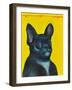 Svarc the Dog II, 2002-Tamas Galambos-Framed Giclee Print