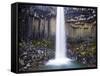 Svartifoss Waterfall in the Skaftafell National Park, Iceland, Polar Regions-Lee Frost-Framed Stretched Canvas